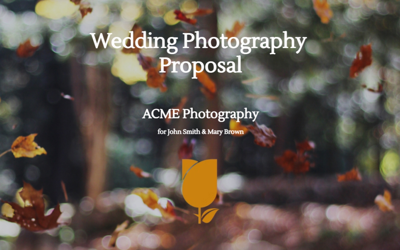 Wedding Photography Proposal Template